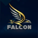 اشتراك فالكون falcon